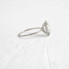 Zoom in on Nestled Ring, Oval Cut (Platinum)
