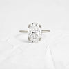 Zoom in on Nestled Ring, Oval Cut (Platinum)