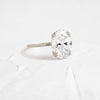 Zoom in on Nestled Ring, Oval Cut (14k White Gold)