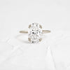 Zoom in on Nestled Ring, Oval Cut (14k White Gold)
