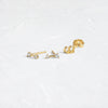 Diamond Tinsel Two-Stone Studs - OOS (14k Yellow Gold)