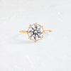 Zoom in on Sapling Ring, Round Cut (14k Yellow Gold)
