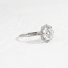 Zoom in on Sapling Ring, Round Cut (Platinum)