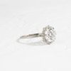 Zoom in on Sapling Ring, Round Cut (14k White Gold)
