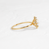 Zoom in on Sapling Ring, Round Cut (14k Yellow Gold)