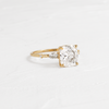 Zoom in on Windlass Ring, Cushion Cut (14k Yellow Gold)