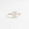 Windlass Ring, Radiant Cut (14k Yellow Gold)