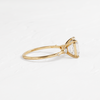 Windlass Ring, Asscher Cut (14k Yellow Gold)