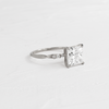 Zoom in on Trestle Ring, Princess Cut (Platinum)