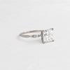 Zoom in on Trestle Ring, Princess Cut (14k White Gold)