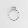 Zoom in on Trestle Ring, Princess Cut (Platinum)