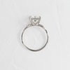 Zoom in on Trestle Ring, Princess Cut (14k White Gold)