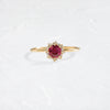 Sapling Ring, 0.52ct. Ruby (14k Yellow Gold)