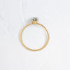 Zoom in on Touchpoints Ring, 0.61ct. Aqua Blue Montana Sapphire (14k Yellow Gold)