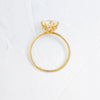 Zoom in on Touchpoints Ring, 1.8ct. Natural Diamond (14k Yellow Gold)