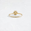 Zoom in on Touchpoints Ring, 0.89ct. Natural Champagne Diamond (14k Yellow Gold)