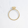Touchpoints Ring, 0.89ct. Natural Champagne Diamond (14k Yellow Gold)