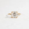 Pictorial Ring, Asscher Cut (14k Yellow Gold)