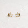 Pinch of Sugar Studs - OOS (14k Yellow Gold)