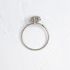 Zoom in on To A Flame Ring, 1.71ct. Light Greenish-Blue Montana Sapphire (14k White Gold)