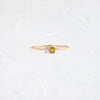 Sapphire Duet Ring (Amber, 14k Yellow Gold)