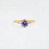 Poppy Seed Ring, 0.9ct. Purple Montana Sapphire (14k Yellow Gold)