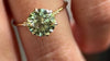 Zoom in on Poppy Seed Ring, 2.6ct. Lab-Grown Green Diamond (14k Yellow Gold)