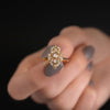 Zoom in on Drawing Room Ring (14k Yellow Gold)