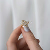 Zoom in on Drawing Room Ring (14k Yellow Gold)
